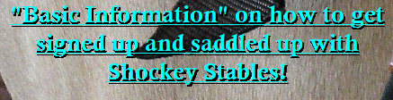 shockeystables_version_1002008.jpg