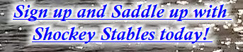 shockeystables_version_1007007.jpg